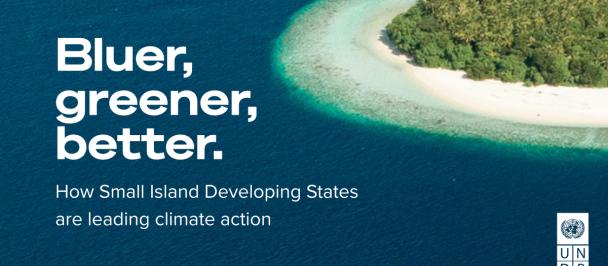 Bluer, greener, better cover image